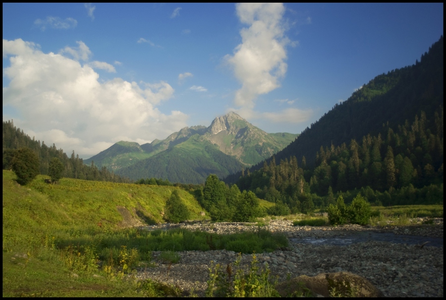 Фото жизнь