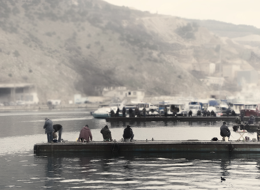 Фото жизнь (light) - Алла Чистая - корневой каталог -  