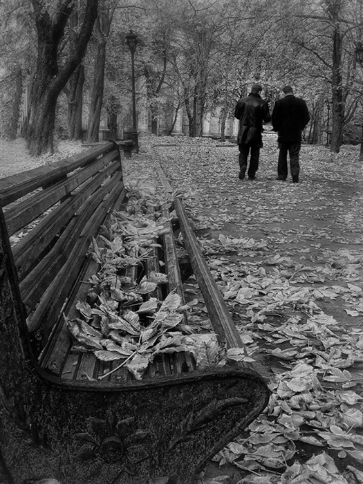 Фото жизнь