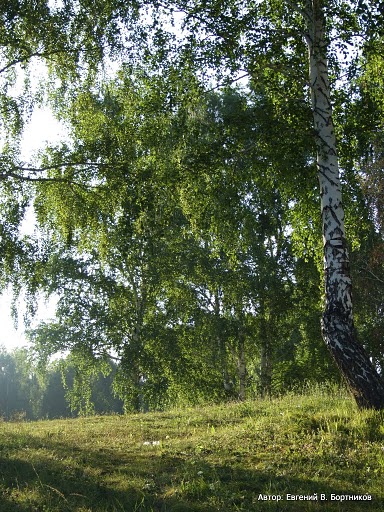 Фото жизнь