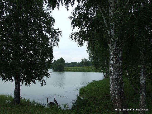 Фото жизнь