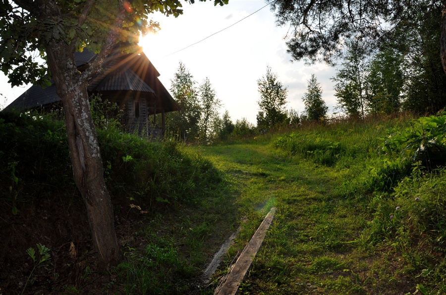 Фото жизнь