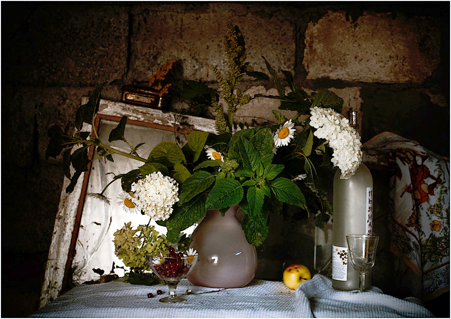 Фото жизнь (light) - Ольга Сидоренко - корневой каталог - _____