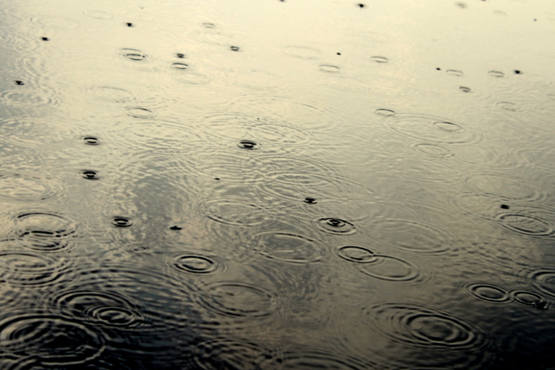 Фото жизнь (light) - Валерия Мурзина - природа - rain
