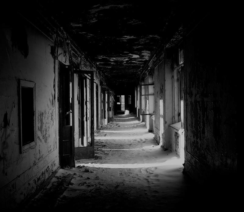 Фото жизнь (light) - Kedi - Мёртвый город - ***