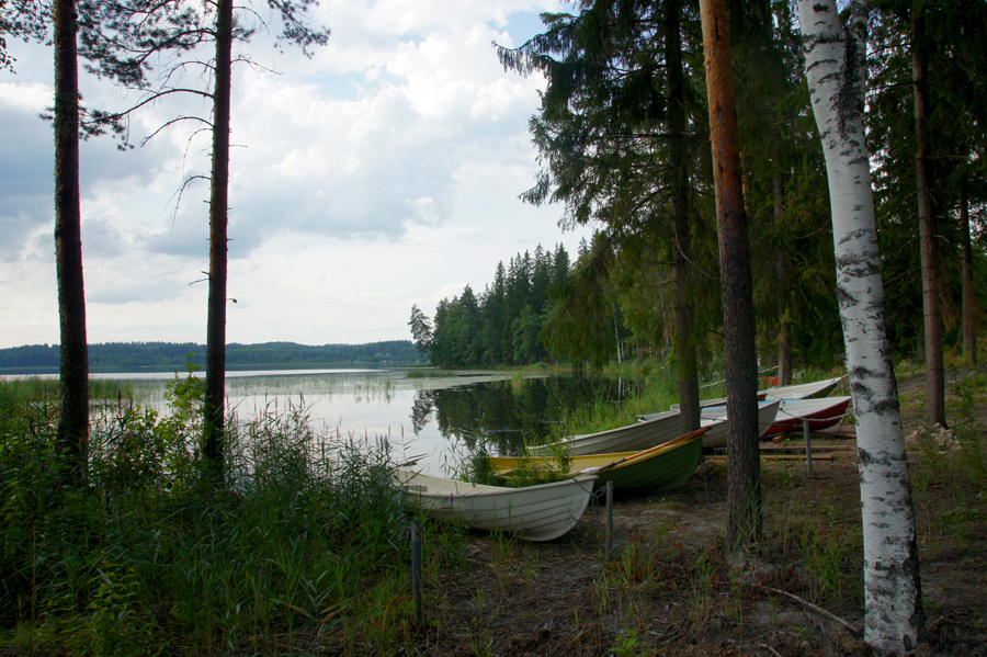 Фото жизнь (light) - Александр Гончарук - Природа - Парковка