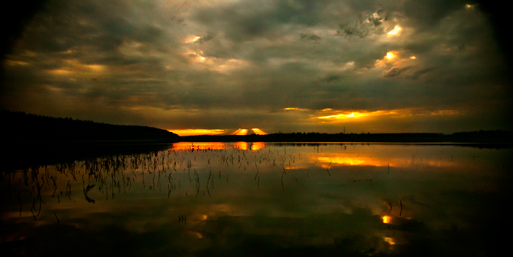 Фото жизнь (light) - Yovan_Van_Der_Pfeffer - корневой каталог - River horror