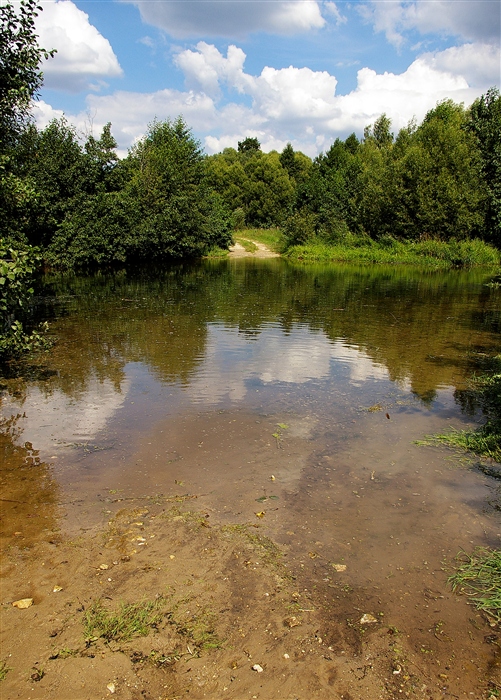 Фото жизнь