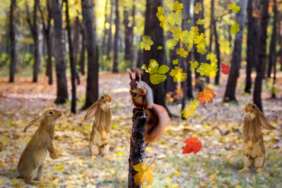 Фото жизнь - Дядя Серёжа - корневой каталог - Волшебная белочка...(+БОНУС)