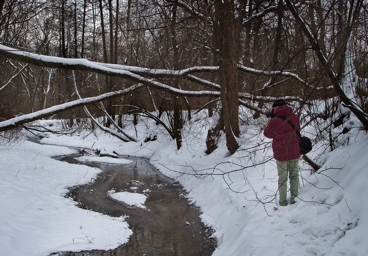 Фото жизнь - Валерий  - Пейзаж,природа. флора, фауна - ***
