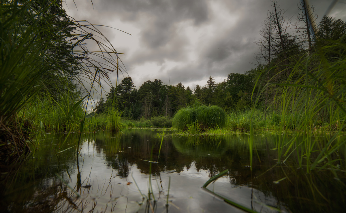 Фото жизнь - AlexsanderBB - 2013 - Mosquito Land