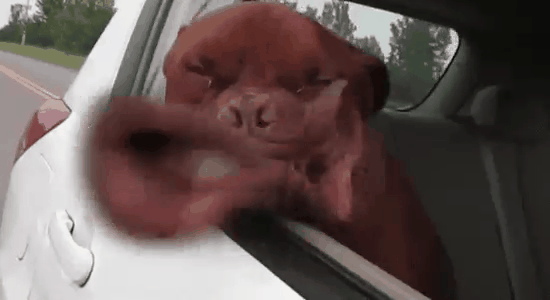 Фото жизнь - Anatoly139 - корневой каталог - ф7