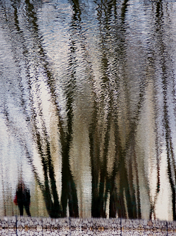 Фото жизнь - Ruslan - Отражение  - ***