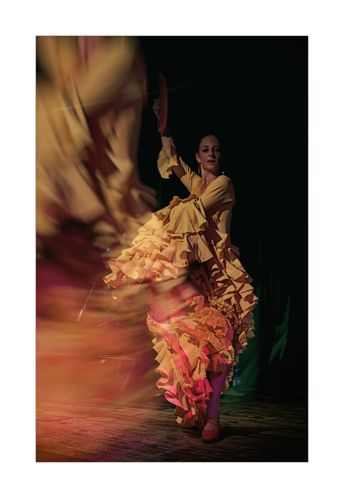 Фламенко Фото жизнь - Инна (Brisa) - корневой каталог - Фламенко