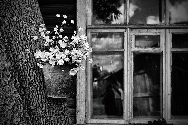 Фото жизнь - Anna Kudriavtseva - корневой каталог - ...