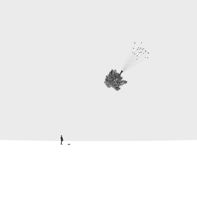 Фото жизнь - dito - Мир в оттенках серого - ...