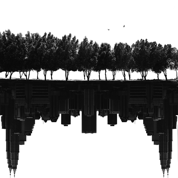 Фото жизнь - dito - Мир в оттенках серого - ...