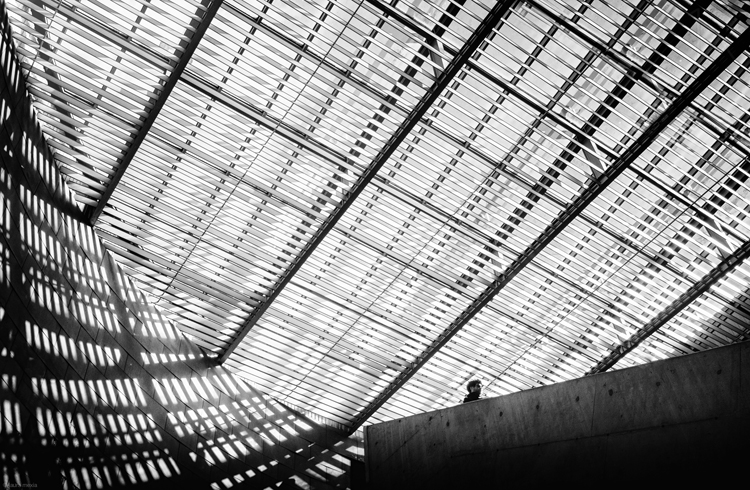 Фото жизнь - dito - Мир в оттенках серого - ...