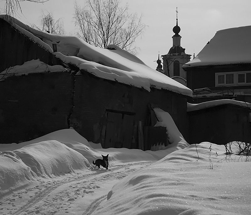 Фото жизнь - Чистякова Юлия - корневой каталог - зима в Крапивне