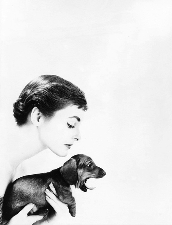 Фото жизнь - dito - корневой каталог - ...