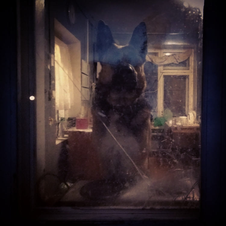 Фото жизнь - Алексей Серпов - корневой каталог - ожидание