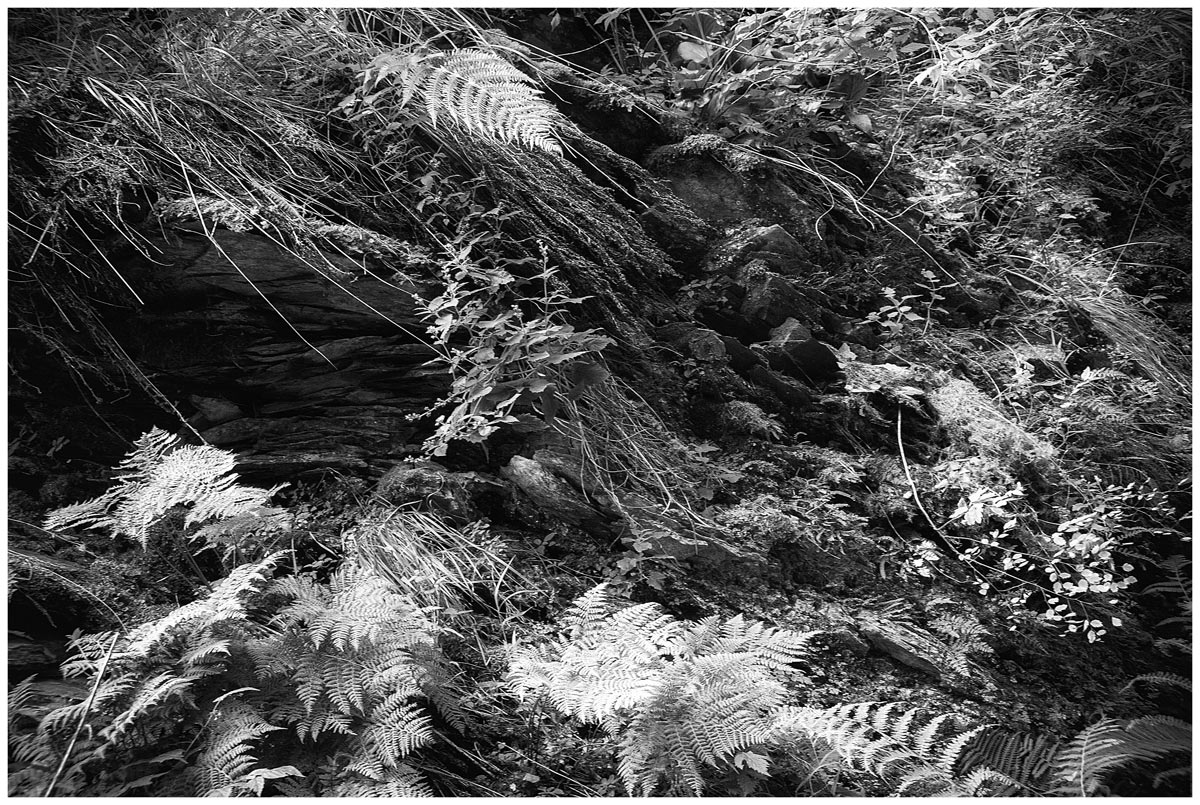 Фото жизнь - Роман Рыбальченко (rybal) - корневой каталог - Графика отвесных скал