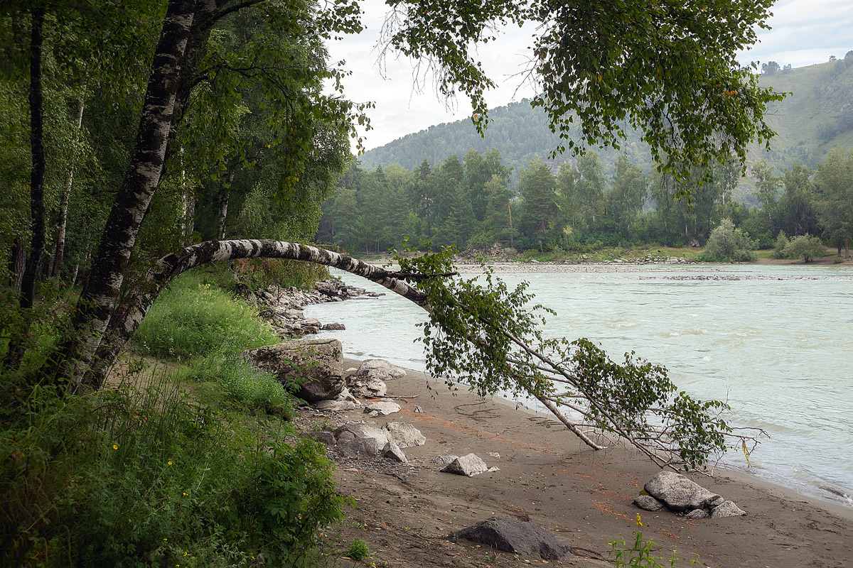 Фото жизнь - Роман Рыбальченко (rybal) - корневой каталог - ***