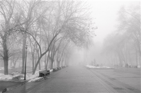 Туманный проспект