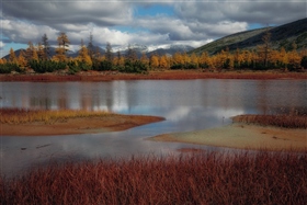 Разноцветная осень