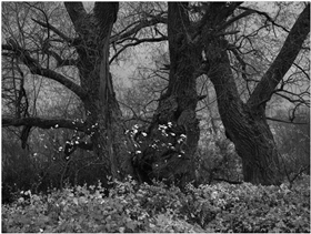 Оставшиеся.