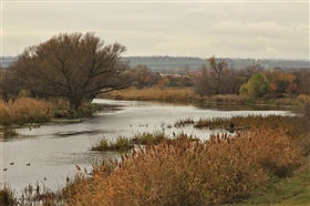 Ноябрь. Осенняя рыбалка