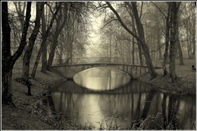 Пришел ноябрьский туман...