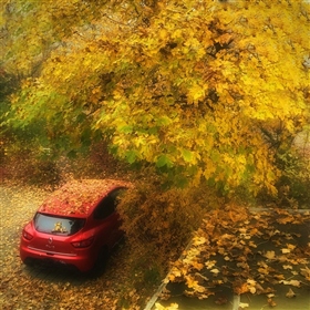 Осеннее рандеву