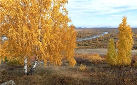 Золотая осень в Хакасии