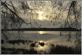 Природа в ожидении ...