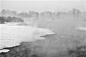 ЗИМУШКА СИБИРСКАЯ 