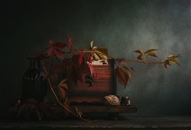 В тенях старой веранды..