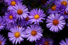 Доброе утро