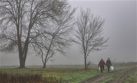 В поиске грибов-2