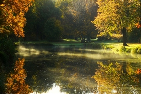 Осеннее утро 