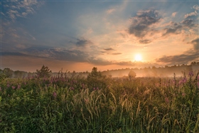 утро после дождя