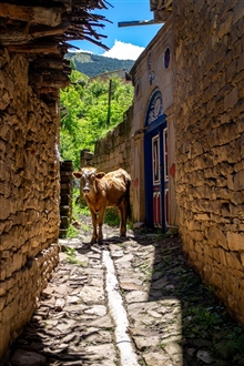 В горном селе