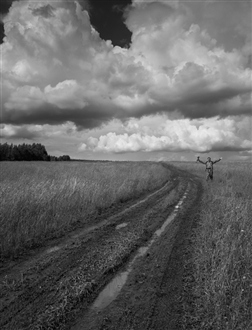 Каждому свой дзен