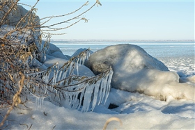 Скульптуры зимы!