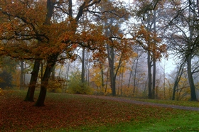 На рассвете