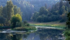 Летним утром