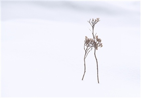 Белый танец