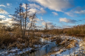 Подмосковный Декабрь 12