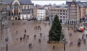 Рождественская елка, Нидерланды. 