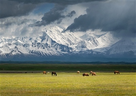 Памиро-Алай